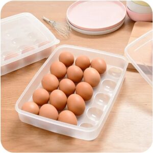 🥚 20 Grid Egg Box Organizer Case in Bangladesh