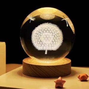 🌌 3D   Dandelion Ball with 1-Color LED Base