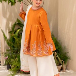 👗 Diamond Georgette Three Piece – Embroidered Kameez