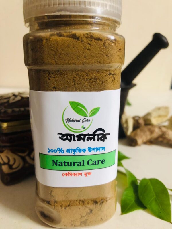 🍀 Amloki Powder – 120g | Natural Care for Hair & Skin